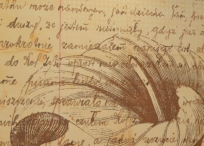 Pensjonat Boutique Dona Carmen - Adults Recommended Nerja